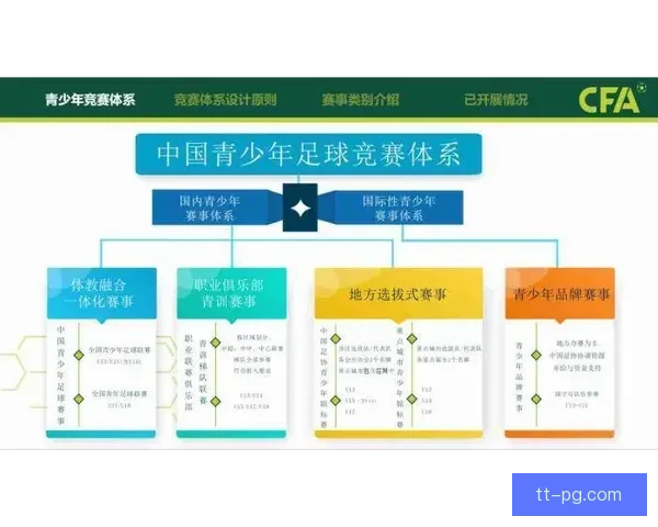 中国足协2026年启动全国青训大普查 促进足球人才培养与发展